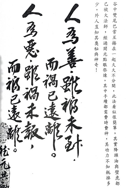 台湾的降头法術秘法 电子版