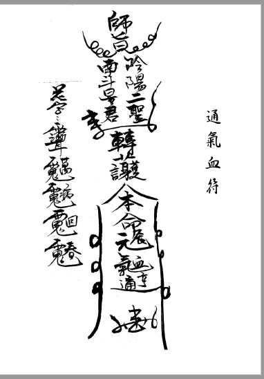 《閭山濟世治病符鑑》(中冊)   电子版