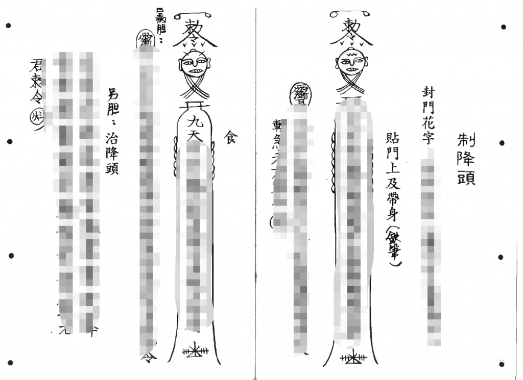 六壬仙师秘箓妙诀 郑法祥1-論病醫病篇