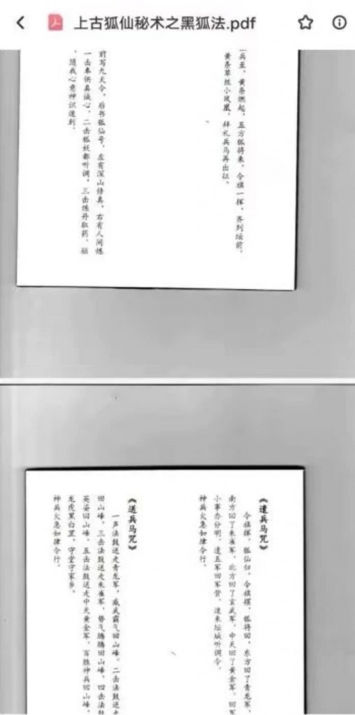 九尾狐仙法一套十本