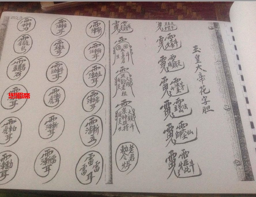 茅山真心教法本 胡秀华仙师 茅山法
